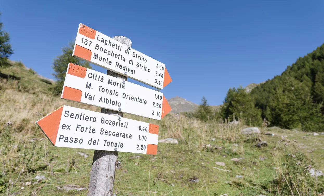 From Malga Strino you can reach several destinations | © Giacomo Podetti, APT Valli di Sole, Peio e Rabbi