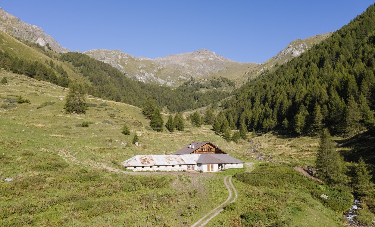 Malga Strino | © Giacomo Podetti, APT Valli di Sole, Peio e Rabbi