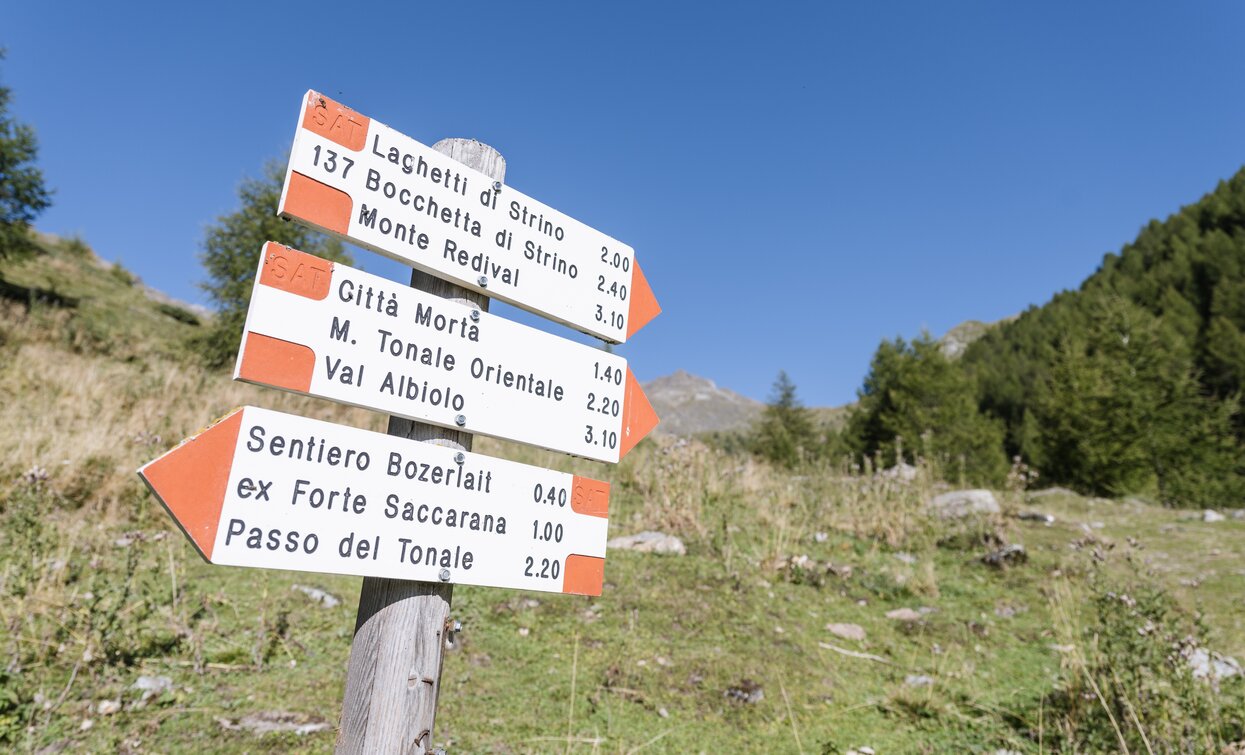 Da Malga Strino puoi raggiungere diverse mete | © Giacomo Podetti, APT Valli di Sole, Peio e Rabbi