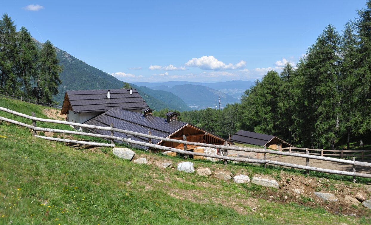 Malga Mas de la Cros | © T. Mochen, APT Valli di Sole, Peio e Rabbi