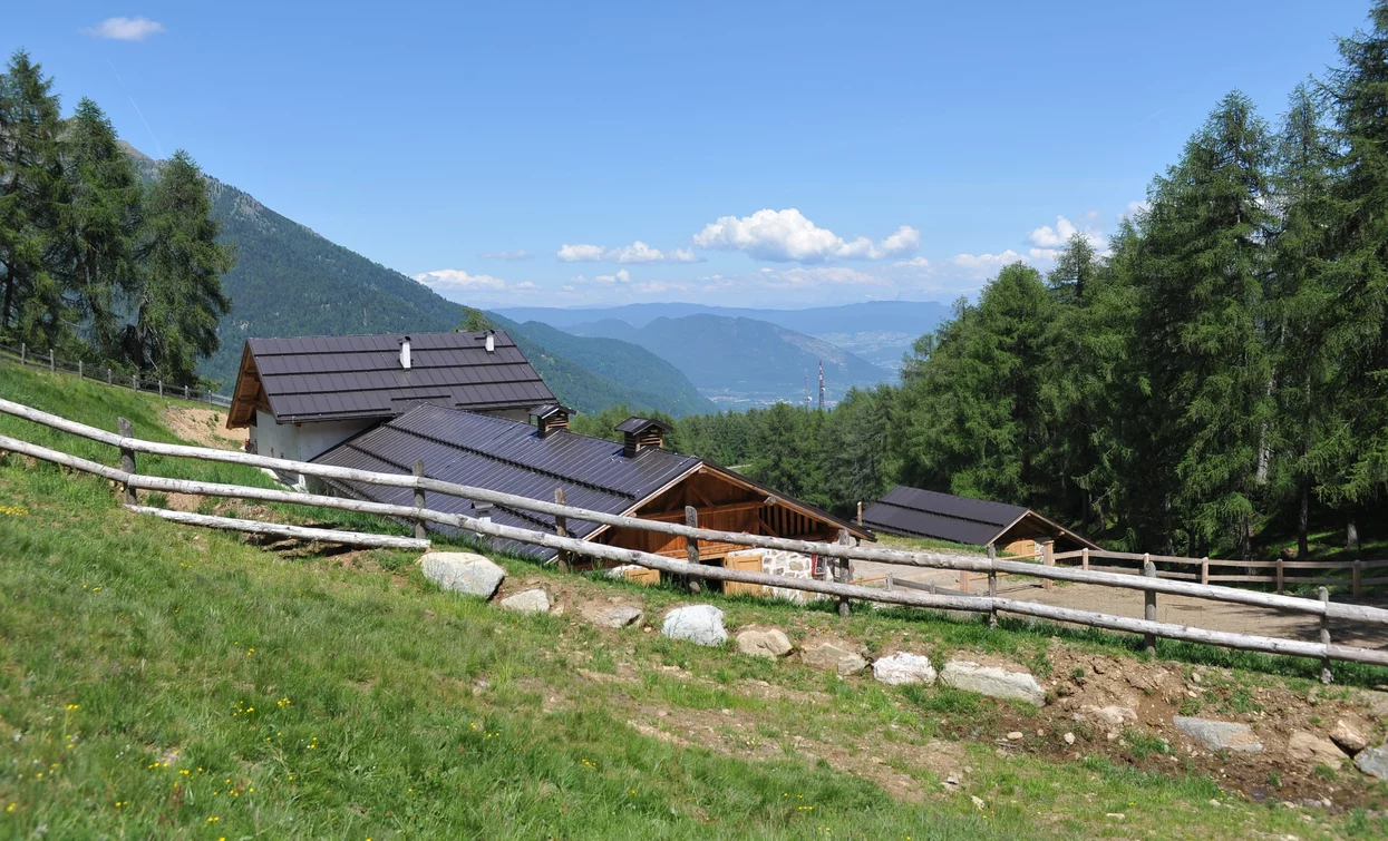 Malga Mas de la Cros | © T. Mochen, APT Valli di Sole, Peio e Rabbi