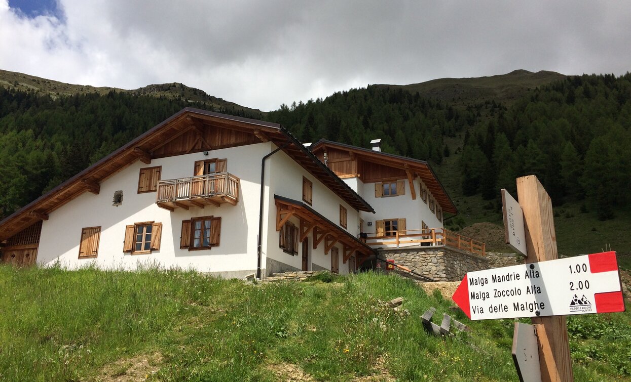 Malga Mondent | © Giacomo Podetti, APT Valli di Sole, Peio e Rabbi