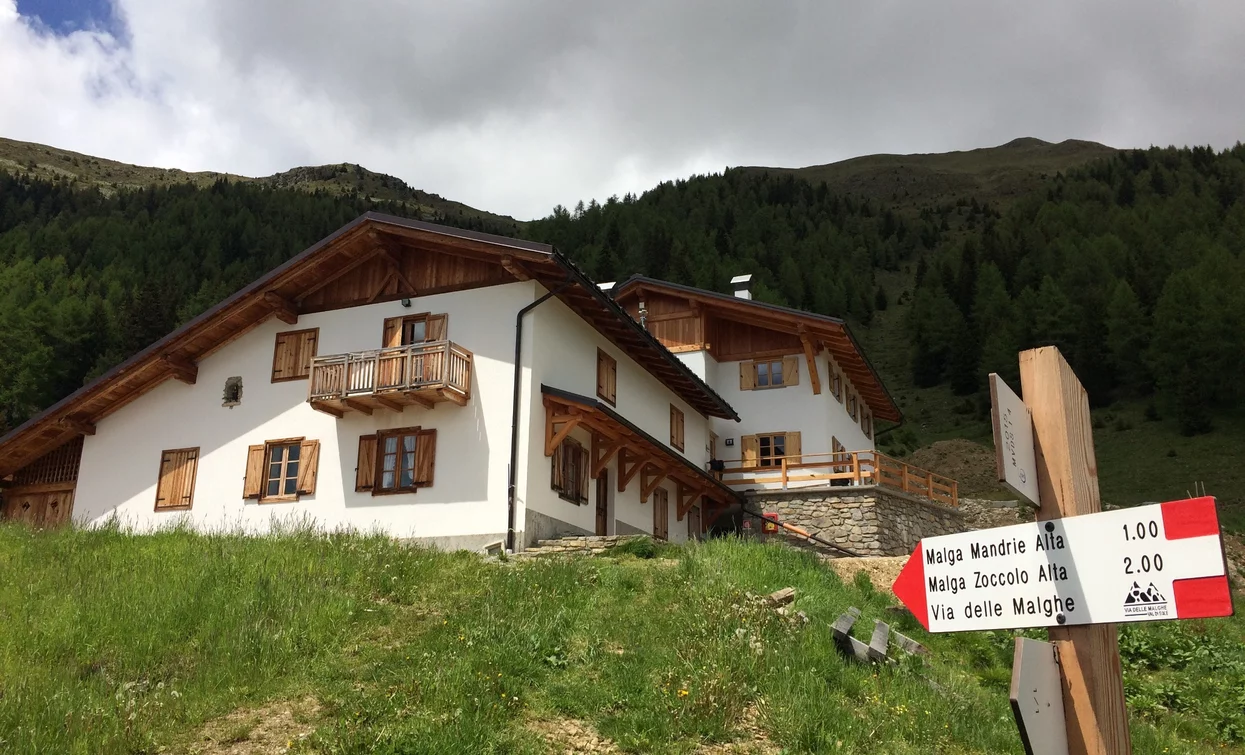 Malga Mondent | © Giacomo Podetti, APT Valli di Sole, Peio e Rabbi