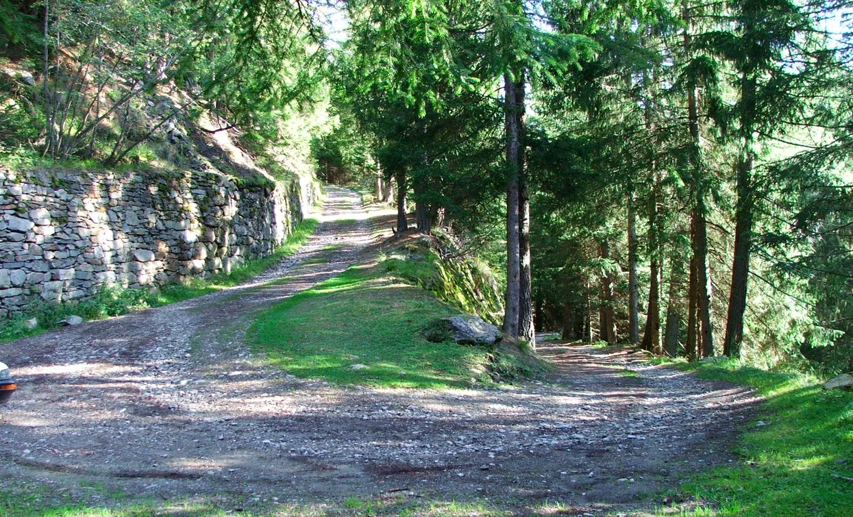 La strada militare della Vegaia | © Parco Stelvio Trentino, Parco Nazionale dello Stelvio (settore Trentino)