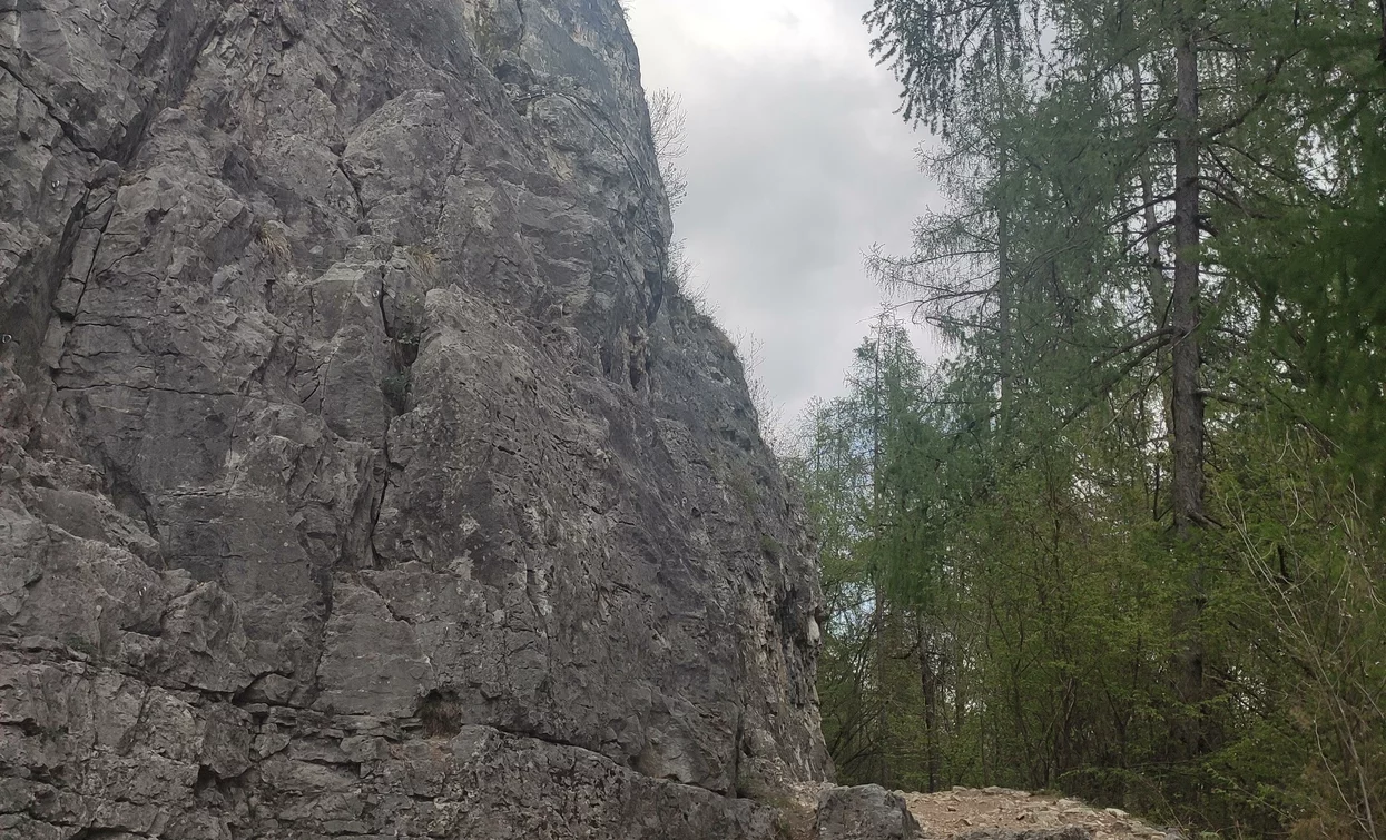 Palestra di roccia "Sassias" di San Giacomo | © APT Valli di Sole, Peio e Rabbi