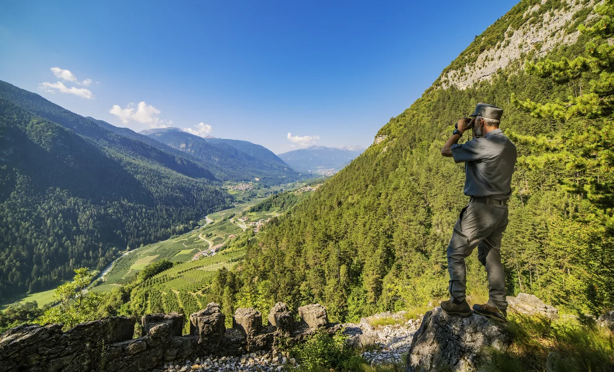 Vista dalle trincee | © T. Prugnola, APT Valli di Sole, Peio e Rabbi