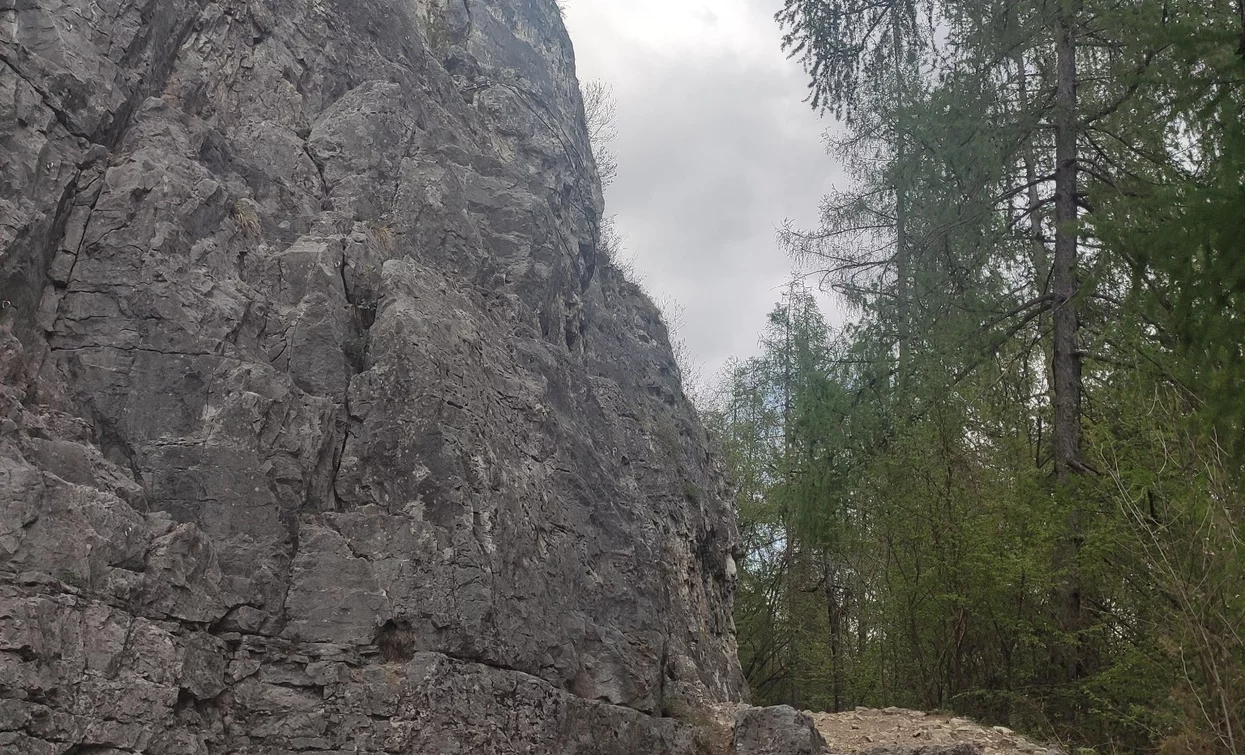 Palestra di roccia "Sassias" di San Giacomo | © APT Valli di Sole, Peio e Rabbi
