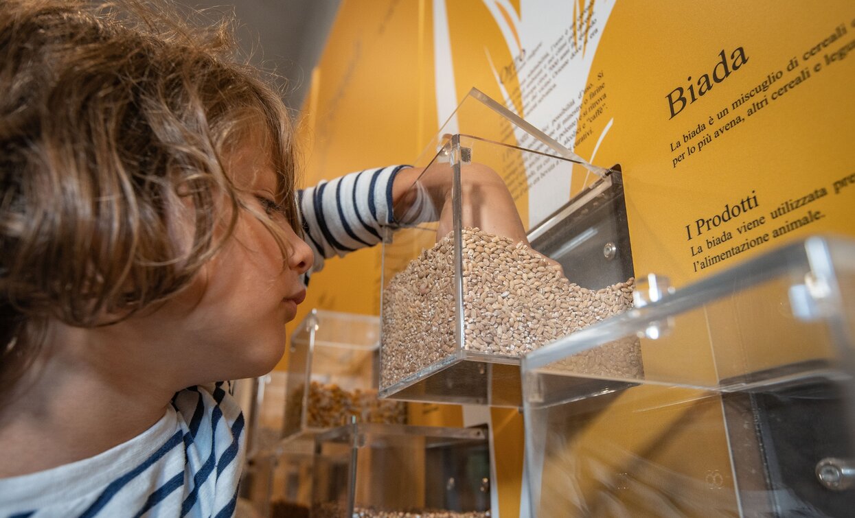 Ruatti Mill | © Tommaso Prugnola, APT Valli di Sole, Peio e Rabbi