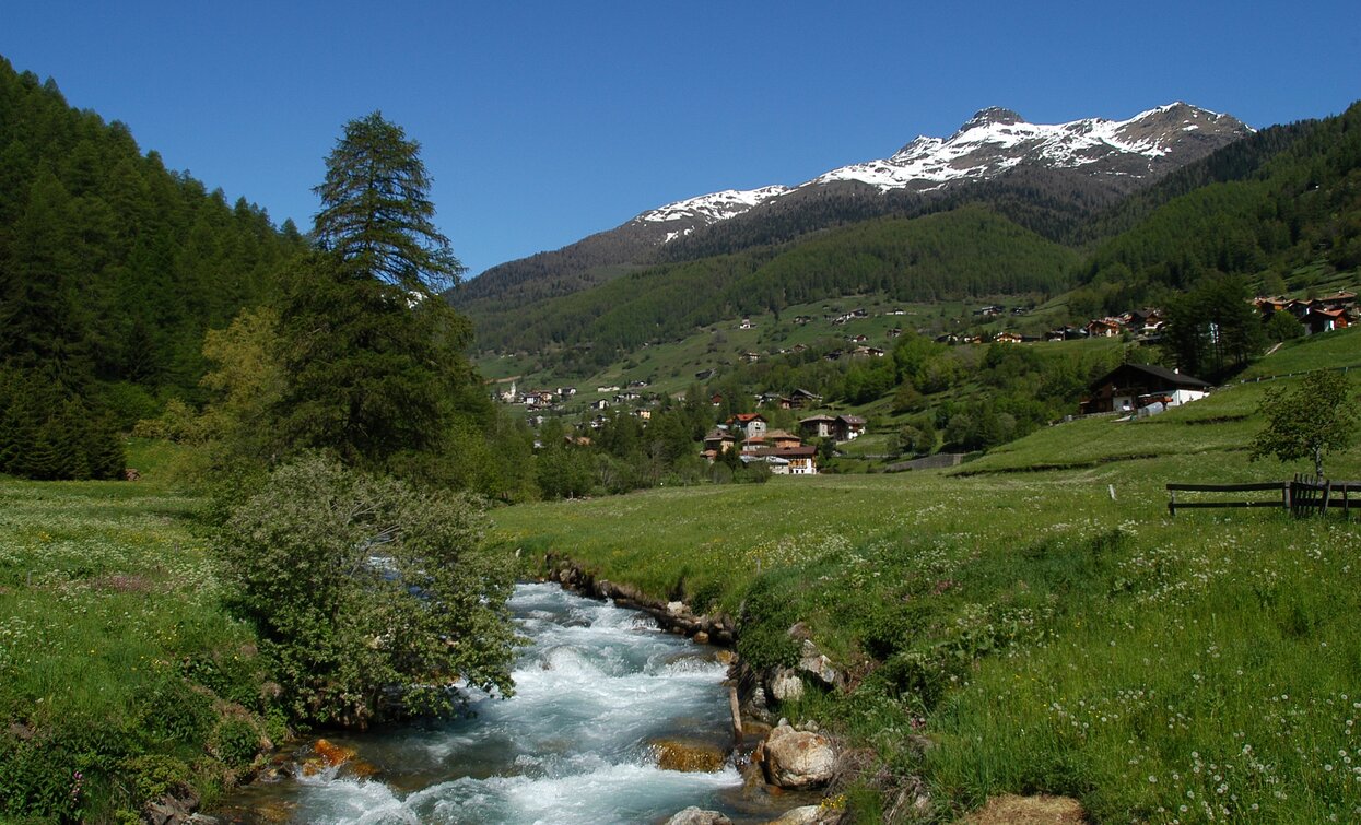 Torrente Rabbies | © Tiziano Mochen, APT Valli di Sole, Peio e Rabbi