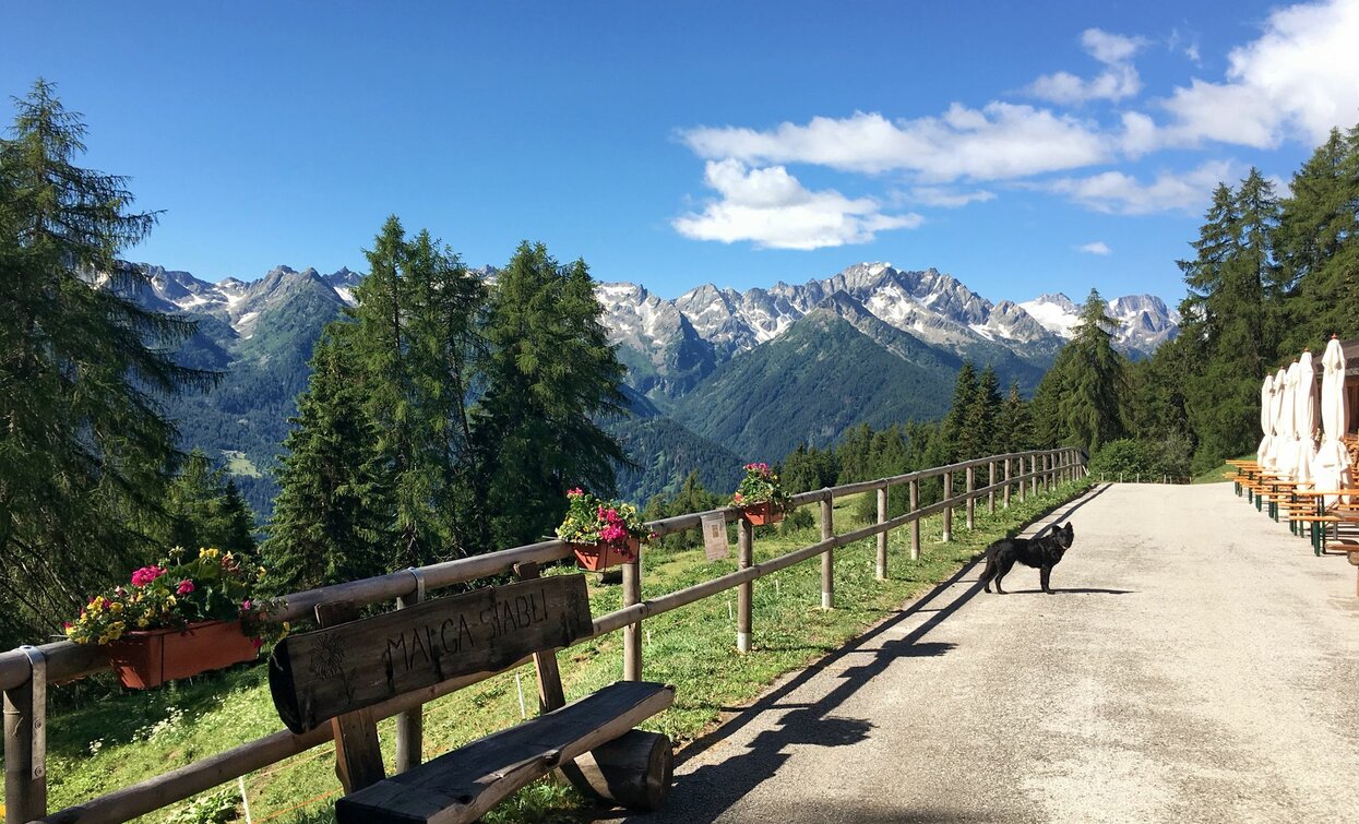 Malga Stabli | © Tommaso Caffara, APT Valli di Sole, Peio e Rabbi