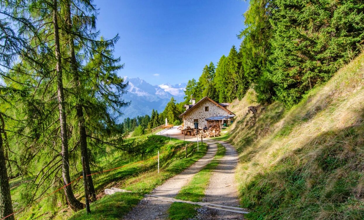 Malga Stabli | © Tommaso Caffara, APT - Valli di Sole, Peio e Rabbi