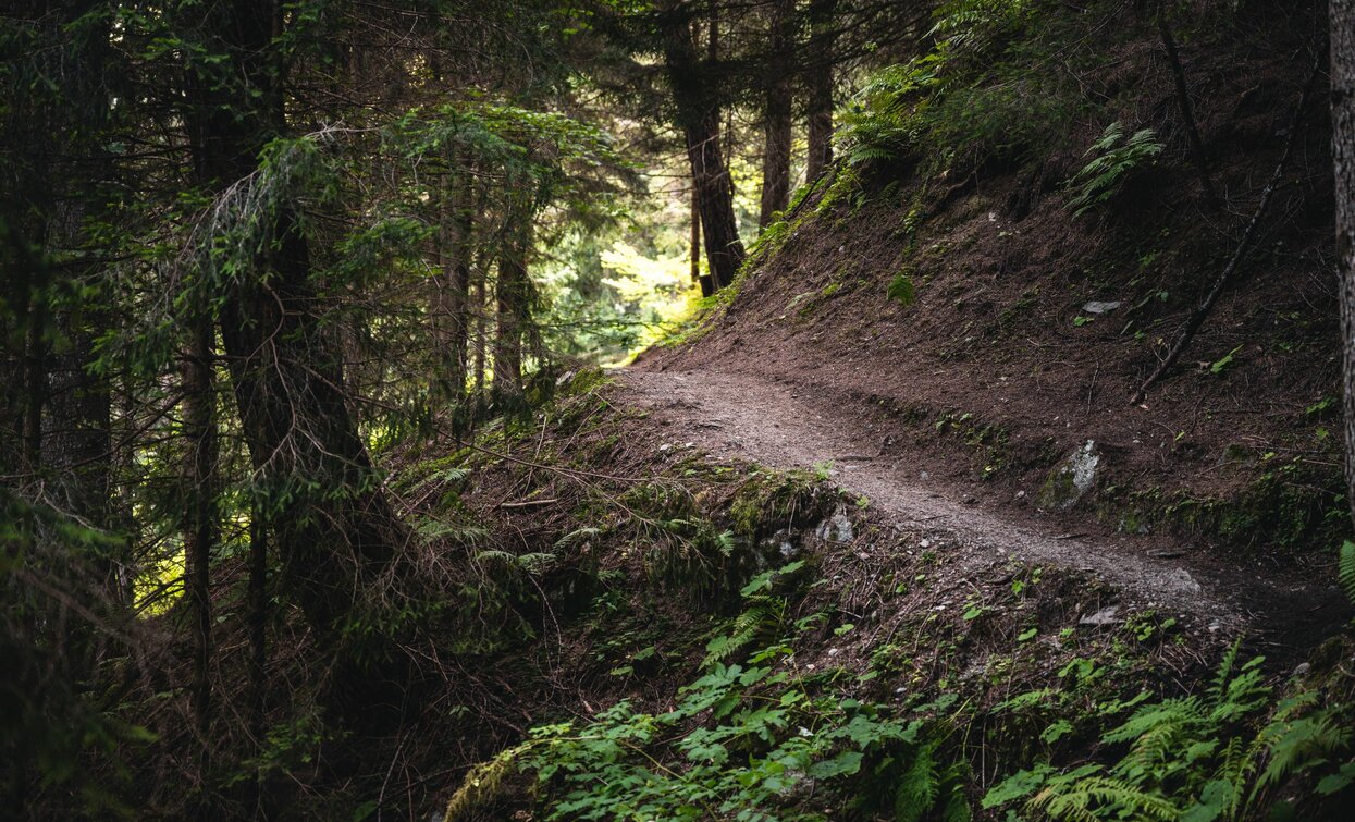 © G. Podetti, APT Valli di Sole, Peio e Rabbi