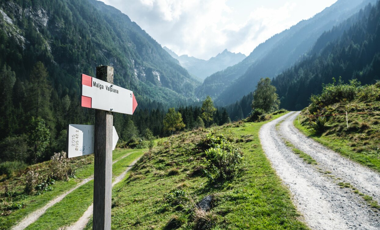 © G. Podetti, APT Valli di Sole, Peio e Rabbi