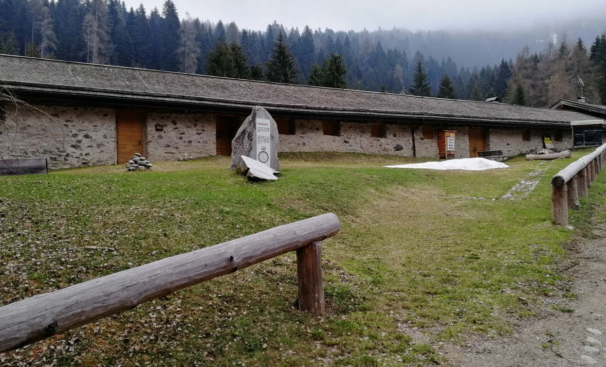 Malga Fazzon Bassa | © Archivio Apt Val di Sole,Peio e Rabbi, APT Valli di Sole, Peio e Rabbi