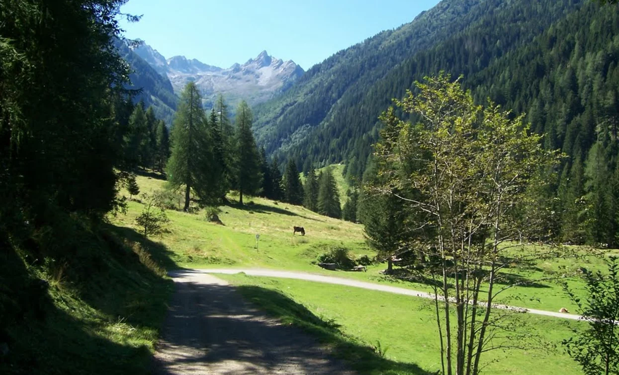 Valpiana | © Sergio Battistini, APT Valli di Sole, Peio e Rabbi