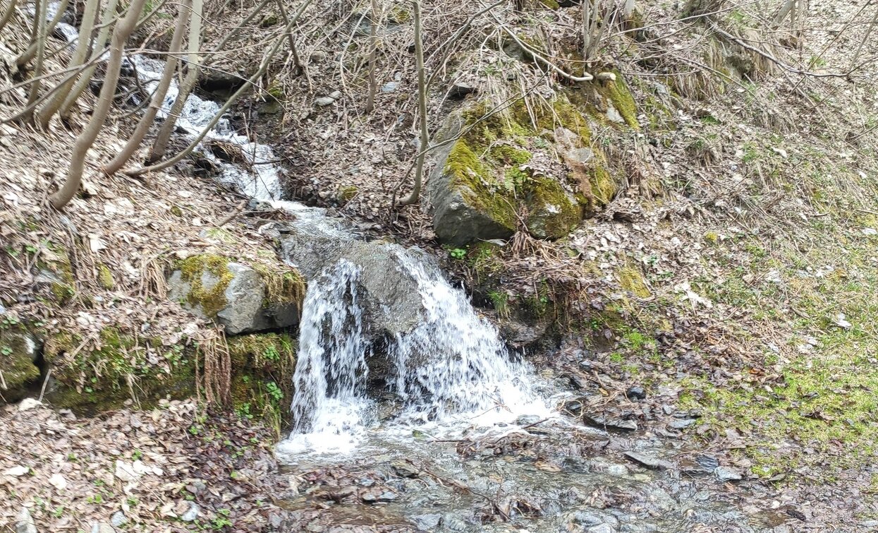 Ruscello | © Archivio Apt Val di Sole,Peio e Rabbi, APT Valli di Sole, Peio e Rabbi