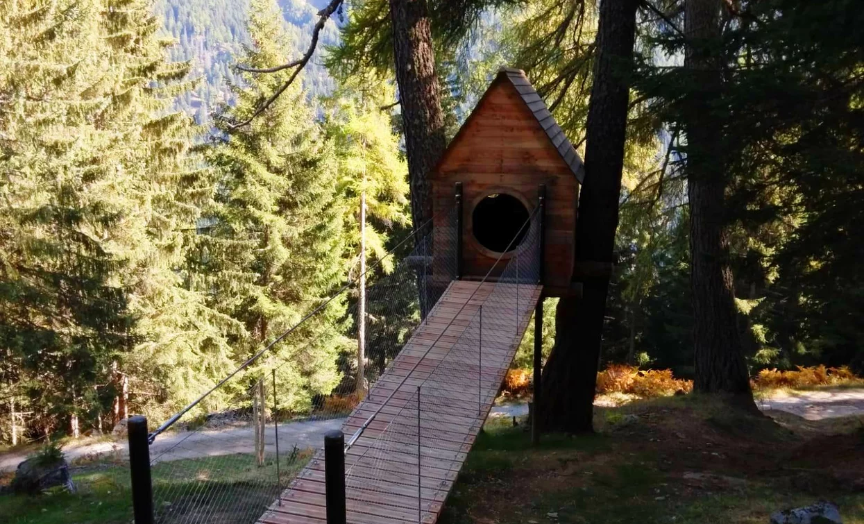 il Percorso degli Urogalli | © Archivio Apt Val di Sole,Peio e Rabbi, APT Valli di Sole, Peio e Rabbi