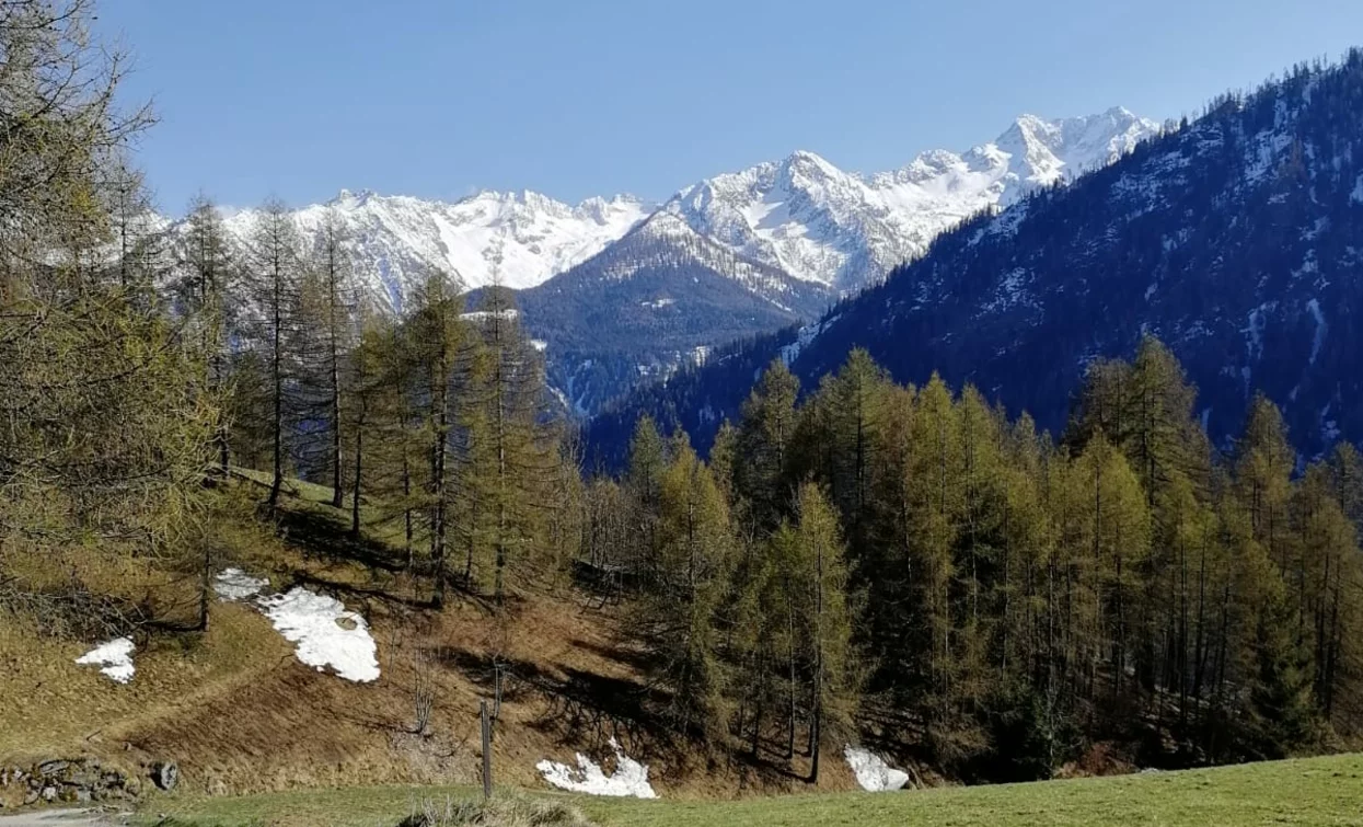 Presanella Group | © Archivio Apt Val di Sole,Peio e Rabbi, APT Valli di Sole, Peio e Rabbi