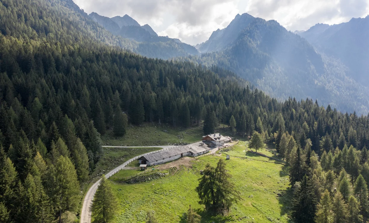 Malga Alta Fazzon | © G. Podetti, APT Valli di Sole, Peio e Rabbi