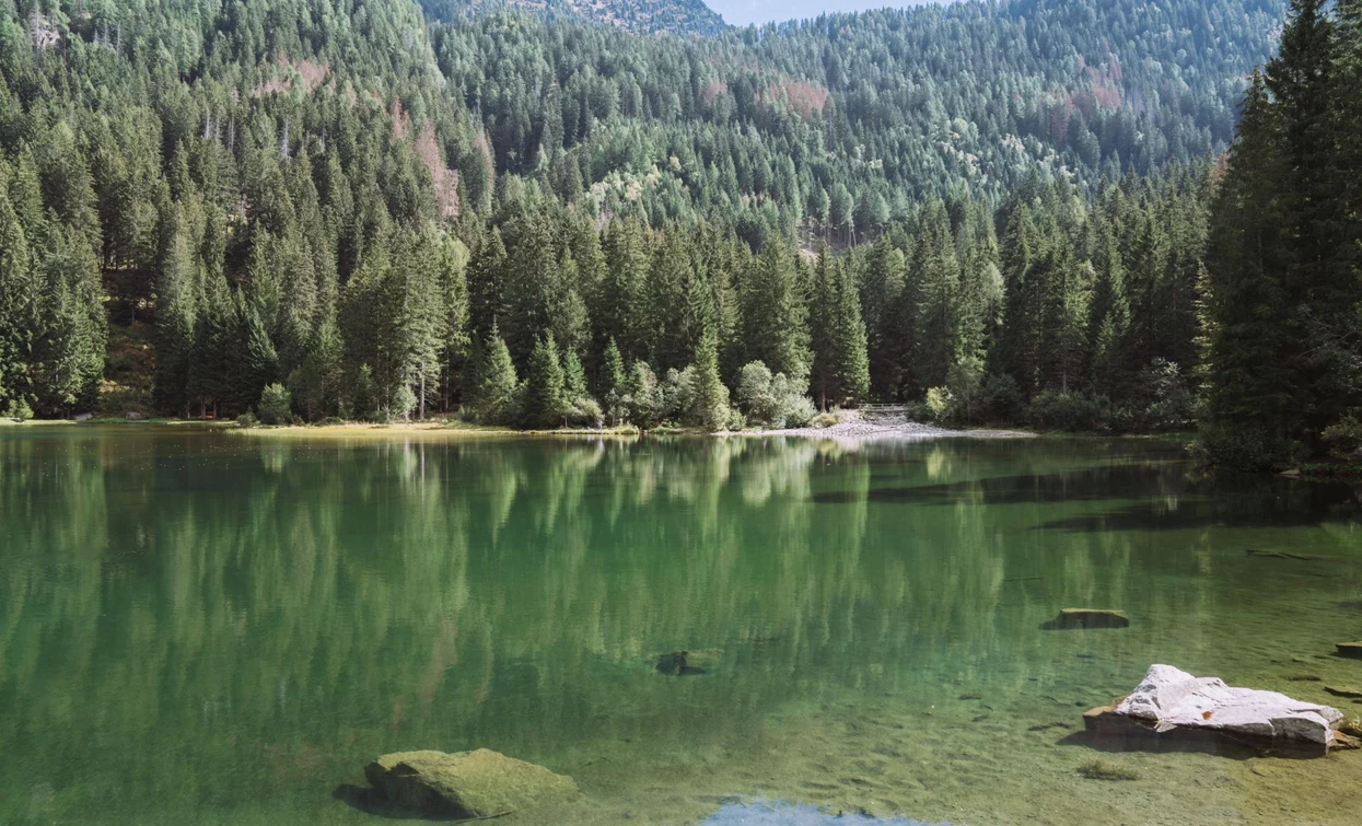 Lake of the Roe Deer | © Alice Russolo, APT Valli di Sole, Peio e Rabbi