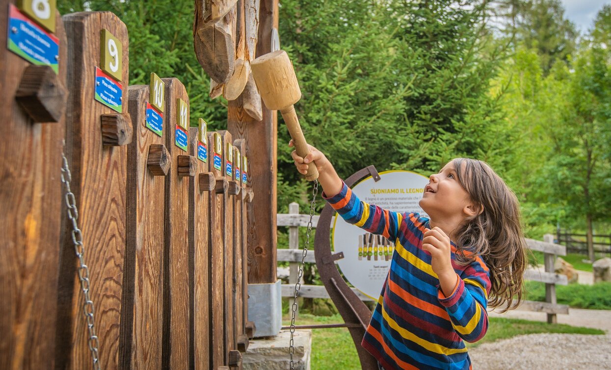Bosco Derniga in Ossana | © Tommaso Prugnola, APT Valli di Sole, Peio e Rabbi