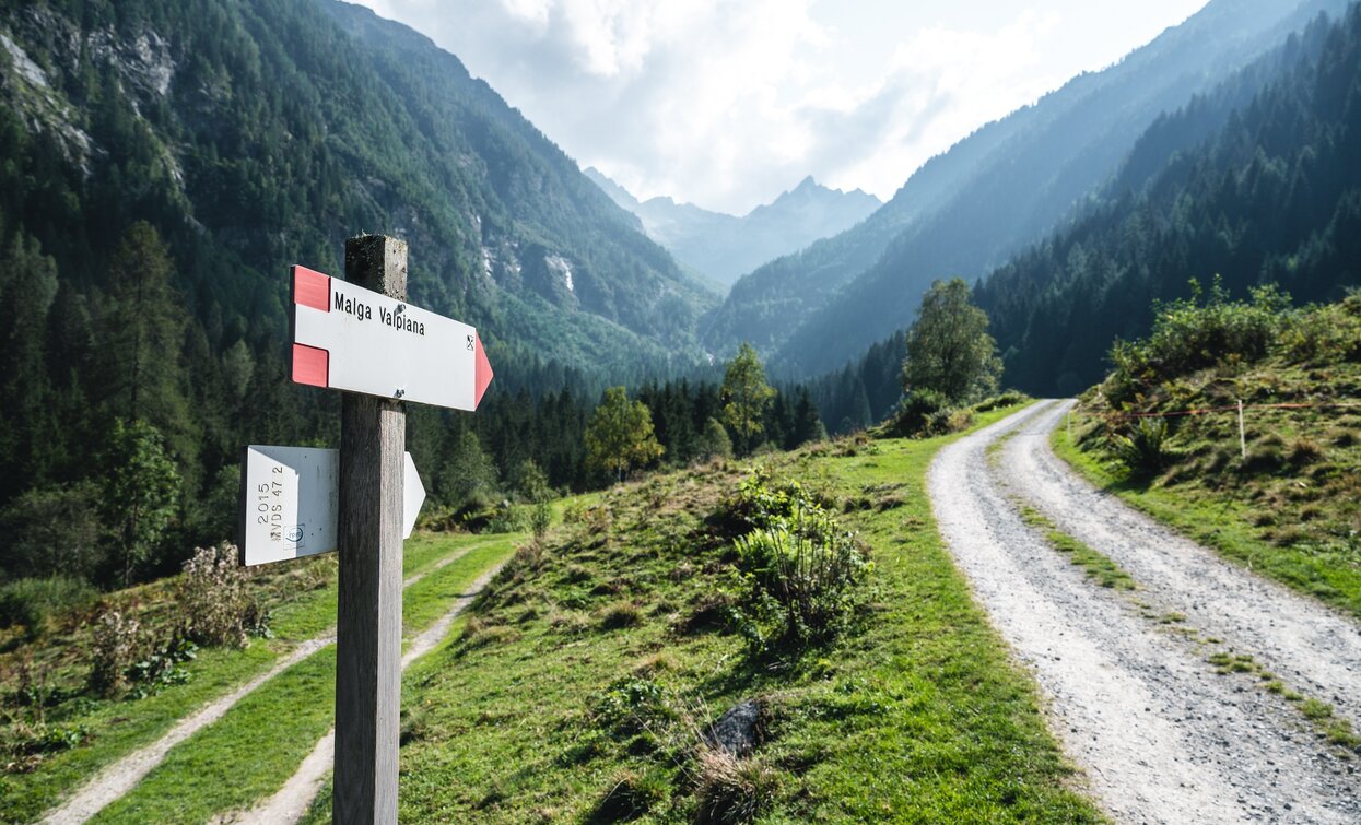 Valpiana | © Giacomo Podetti, APT Valli di Sole, Peio e Rabbi