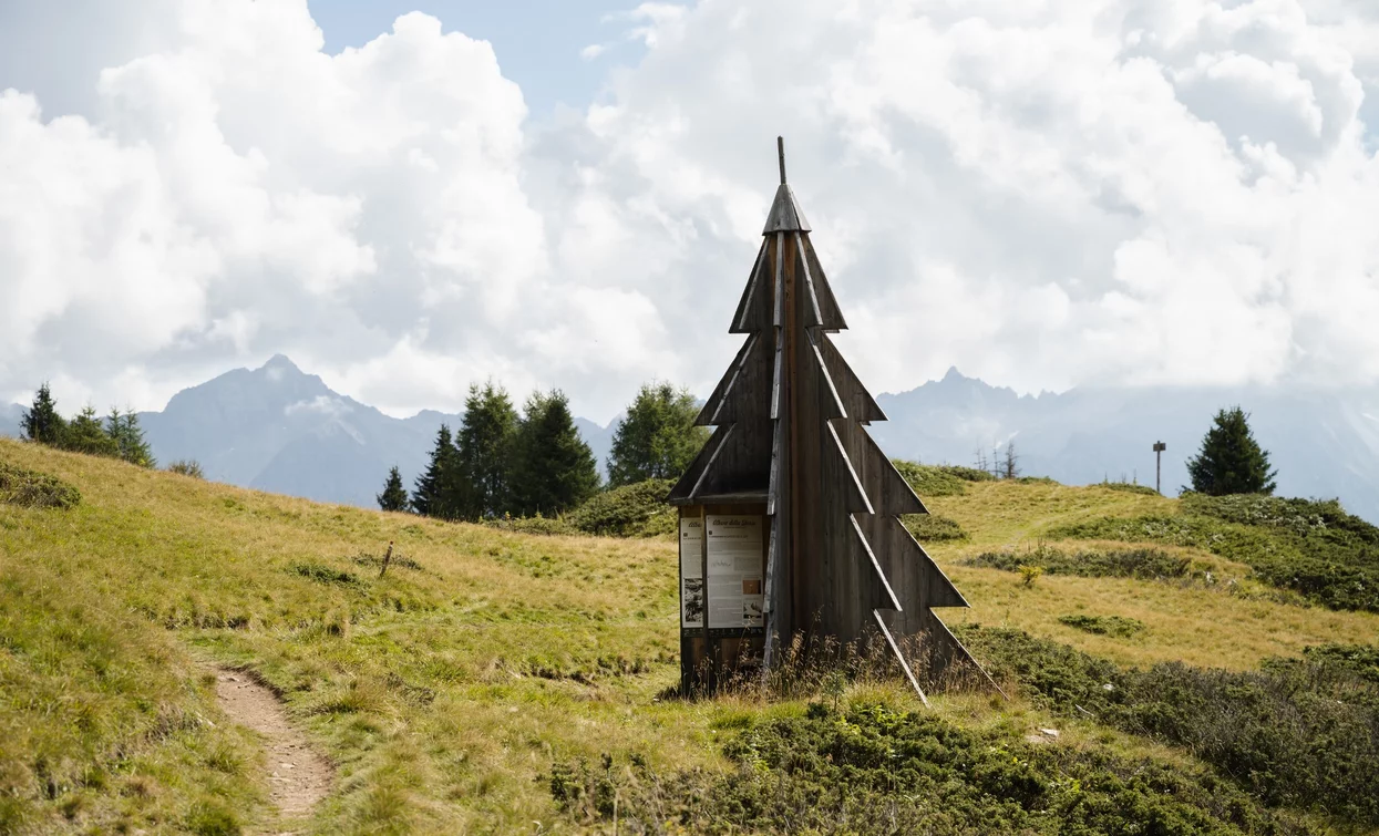 Nei dintorni di Malga Campo | © Giacomo Podetti, APT Valli di Sole, Peio e Rabbi