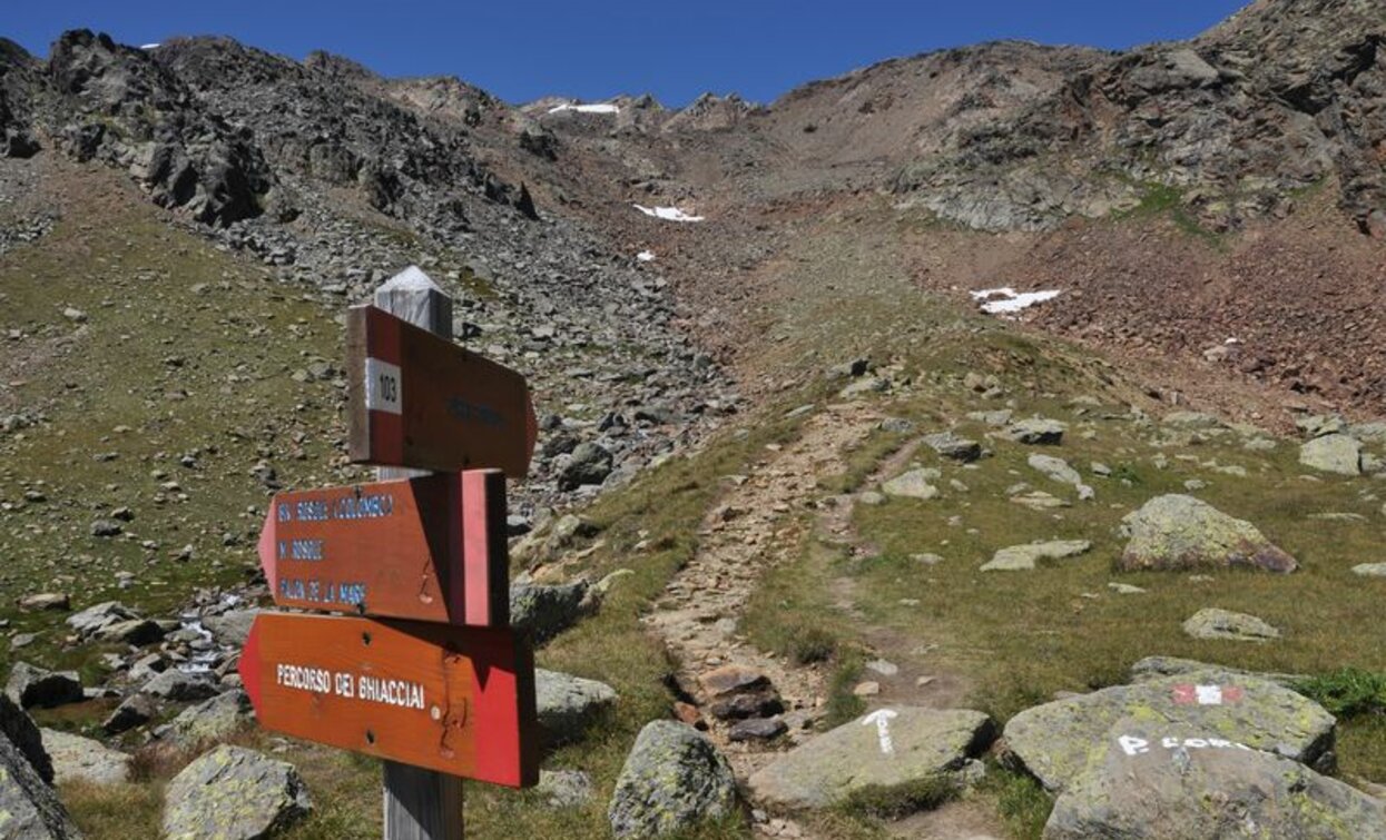 Rifugio Larcher – La Forcola | © VisitTrentino, APT Valli di Sole, Peio e Rabbi
