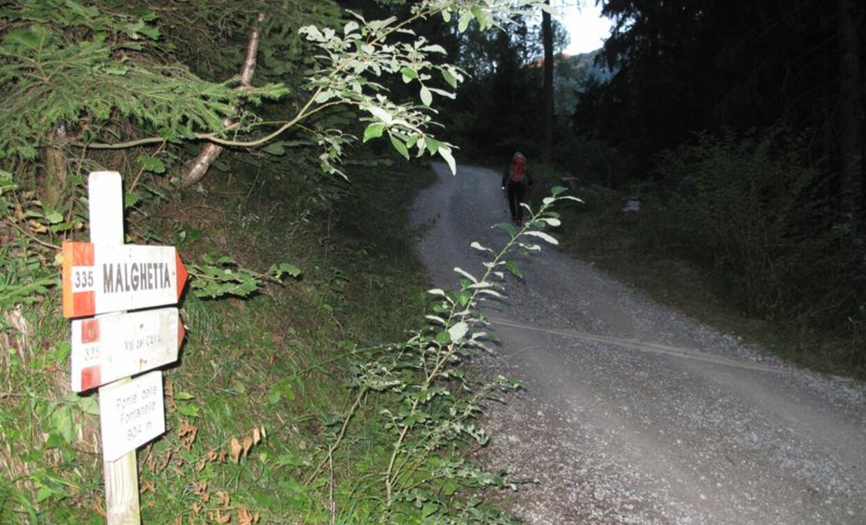 © VisitTrentino, APT Valli di Sole, Peio e Rabbi