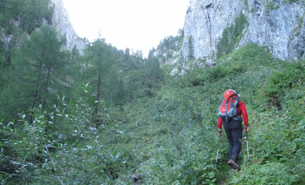 © VisitTrentino, APT Valli di Sole, Peio e Rabbi