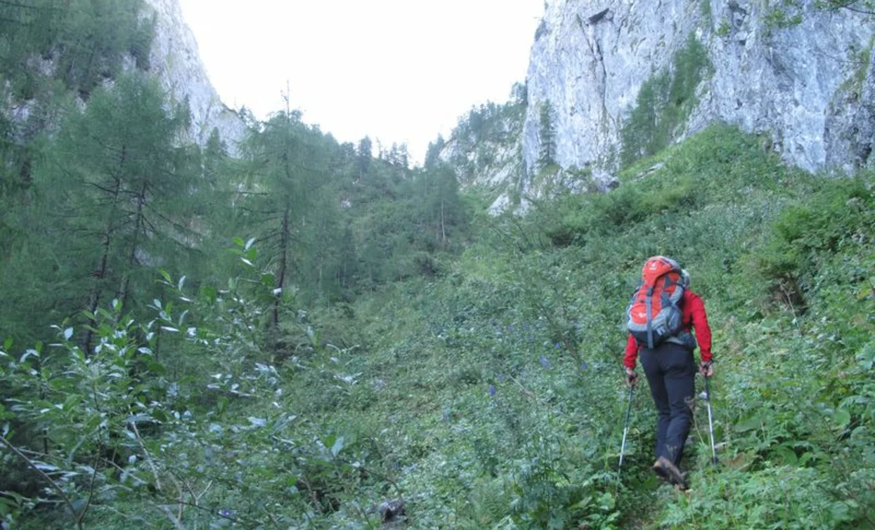 © VisitTrentino, APT - Valli di Sole, Peio e Rabbi