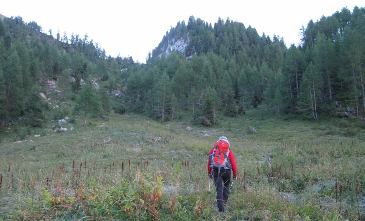 © VisitTrentino, APT Valli di Sole, Peio e Rabbi