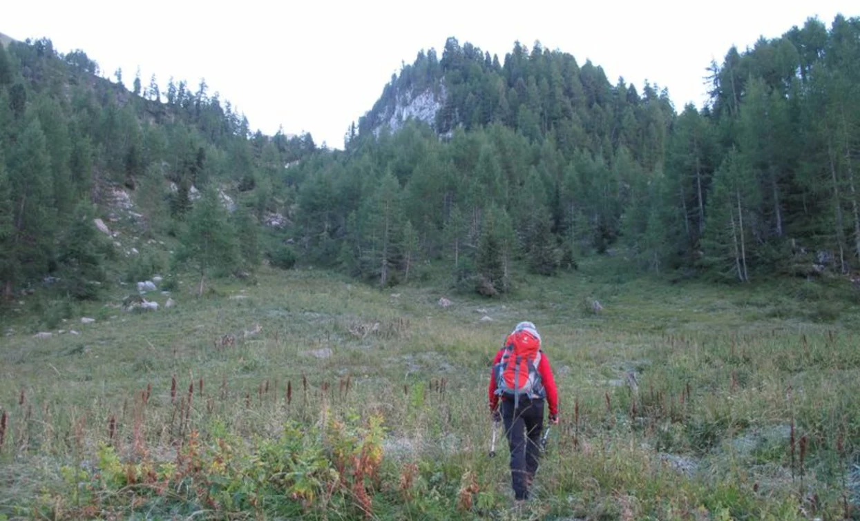 © VisitTrentino, APT - Valli di Sole, Peio e Rabbi