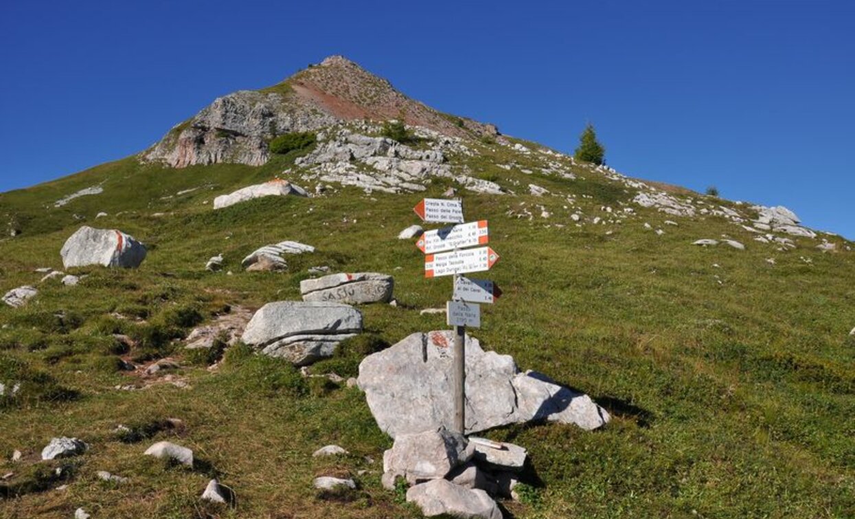 © VisitTrentino, APT Valli di Sole, Peio e Rabbi