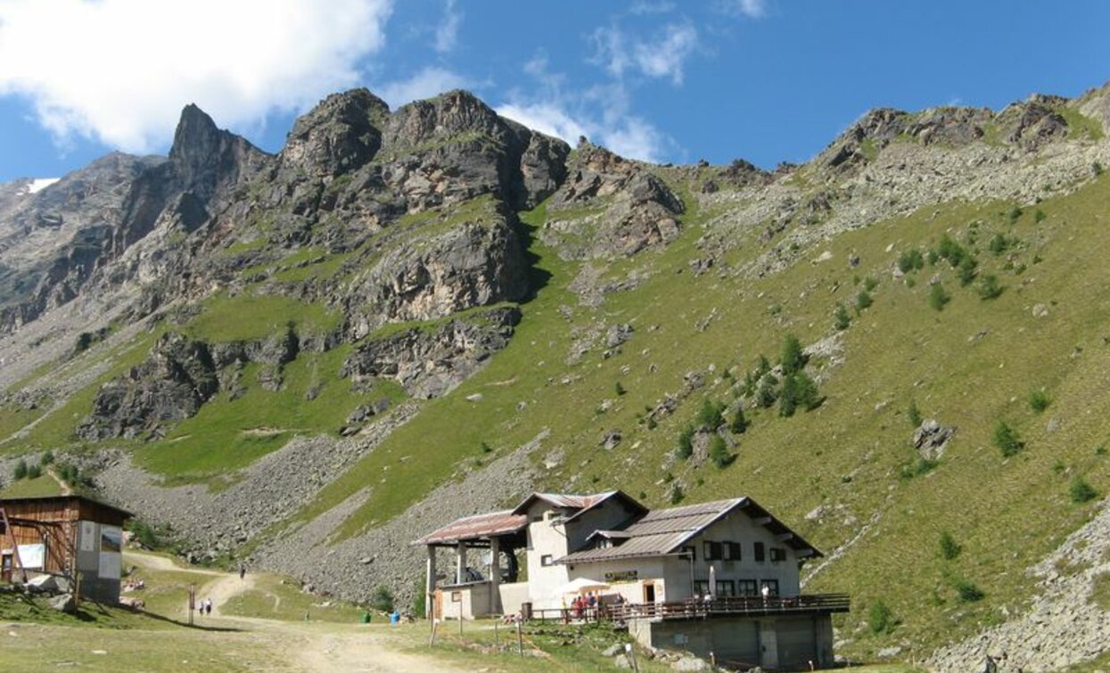 Doss dei Cembri – Malga Saline – Rifugio Scoiattolo | © VisitTrentino, APT Valli di Sole, Peio e Rabbi