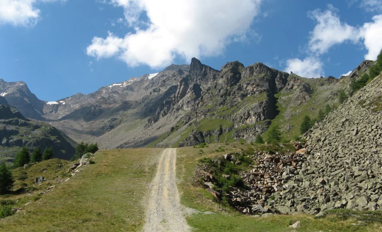 Doss dei Cembri – Malga Saline – Rifugio Scoiattolo | © VisitTrentino, APT Valli di Sole, Peio e Rabbi