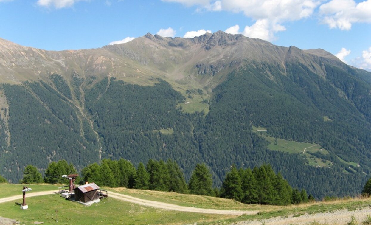 © VisitTrentino, APT - Valli di Sole, Peio e Rabbi