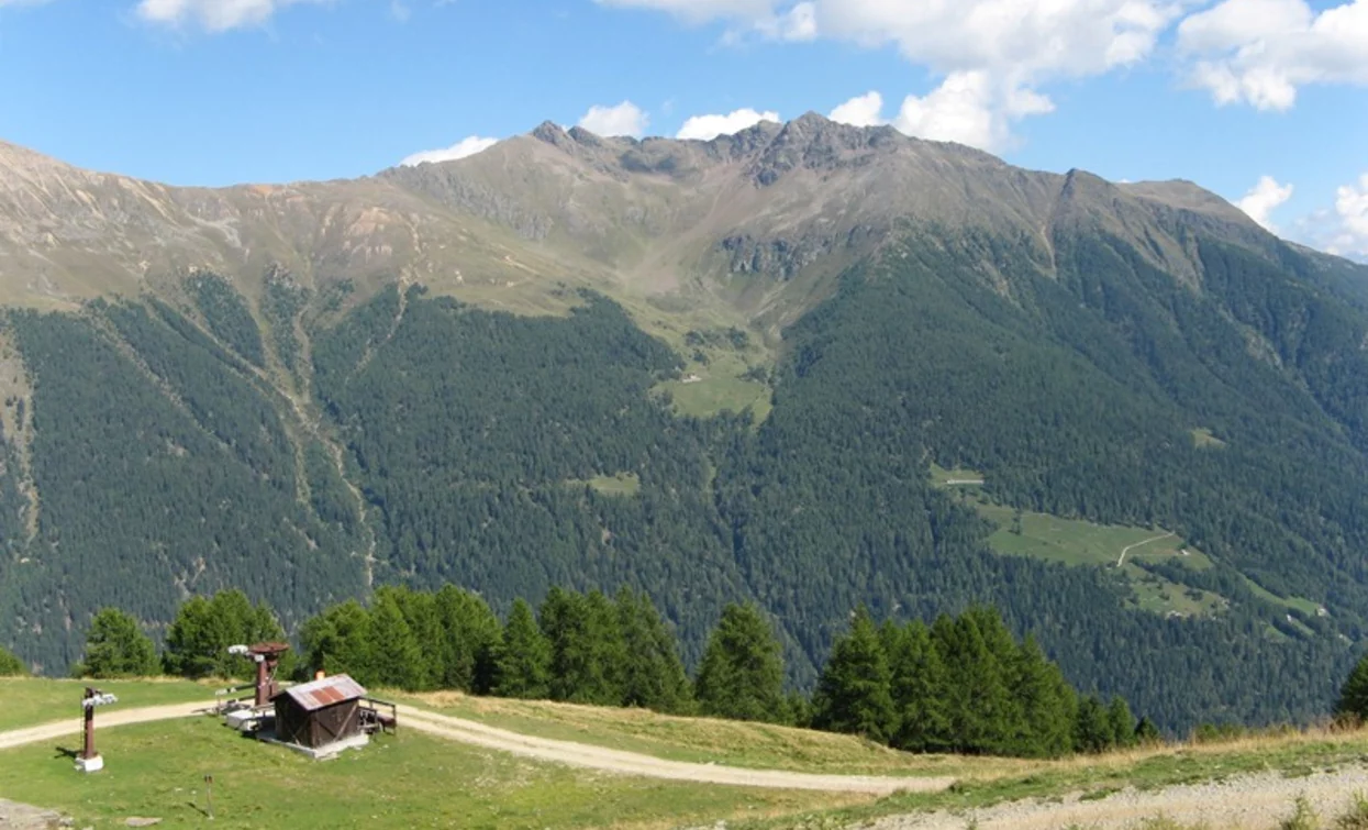 Doss dei Cembri – Malga Saline – Rifugio Scoiattolo | © VisitTrentino, APT Valli di Sole, Peio e Rabbi