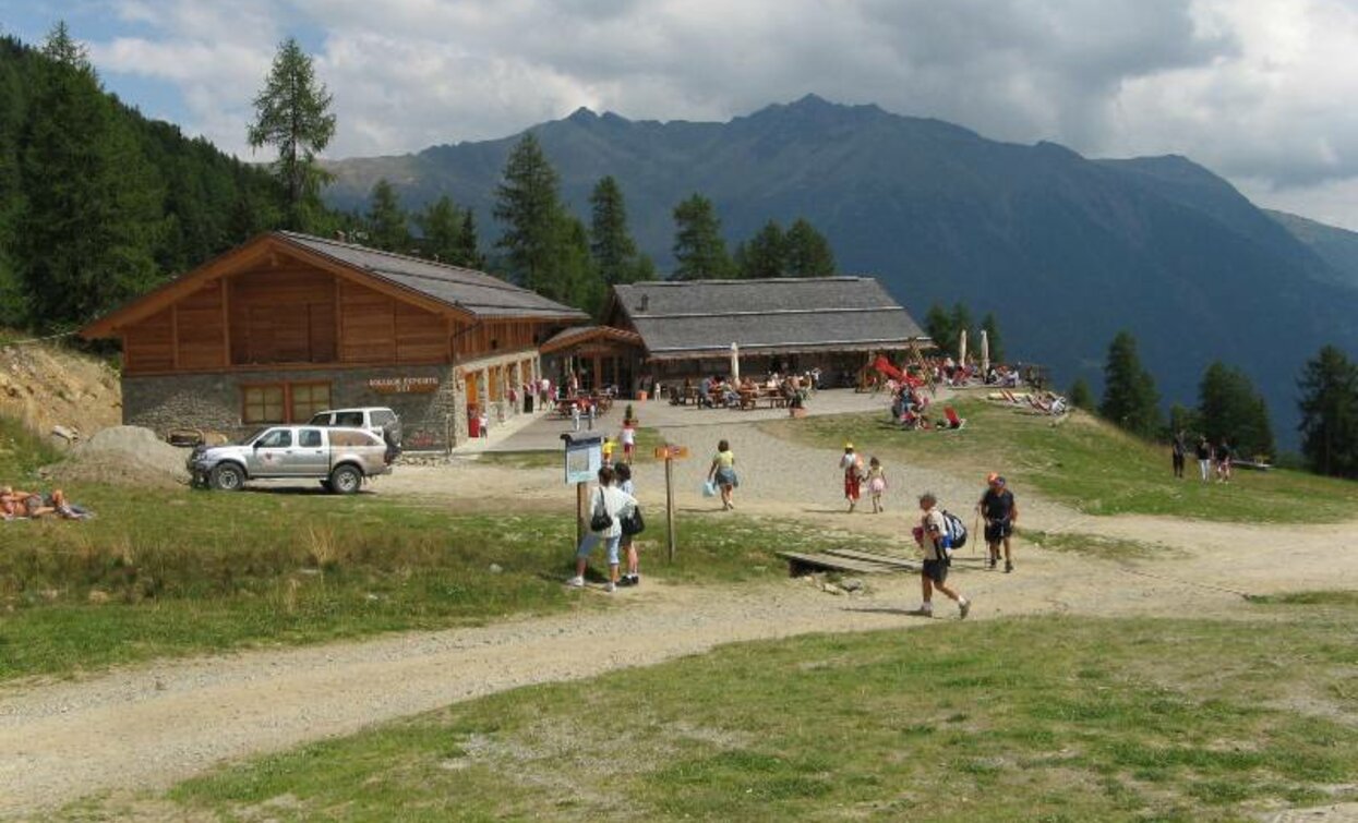 Doss dei Cembri – Malga Saline – Rifugio Scoiattolo | © VisitTrentino, APT Valli di Sole, Peio e Rabbi