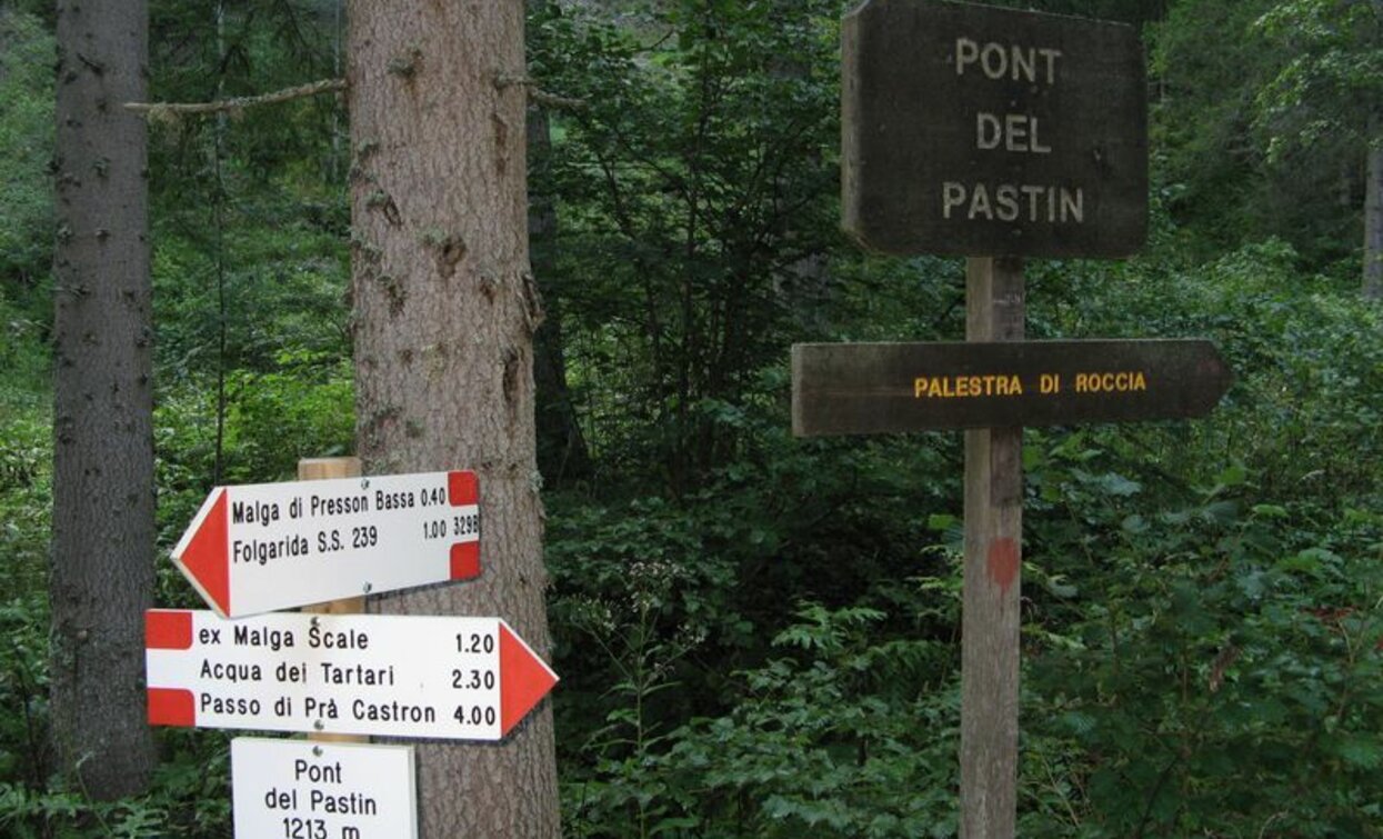 © VisitTrentino, APT Valli di Sole, Peio e Rabbi