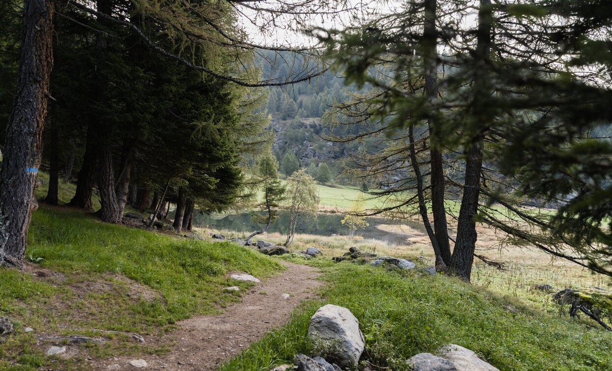 Lake Covel | © Giacomo Podetti, APT Valli di Sole, Peio e Rabbi