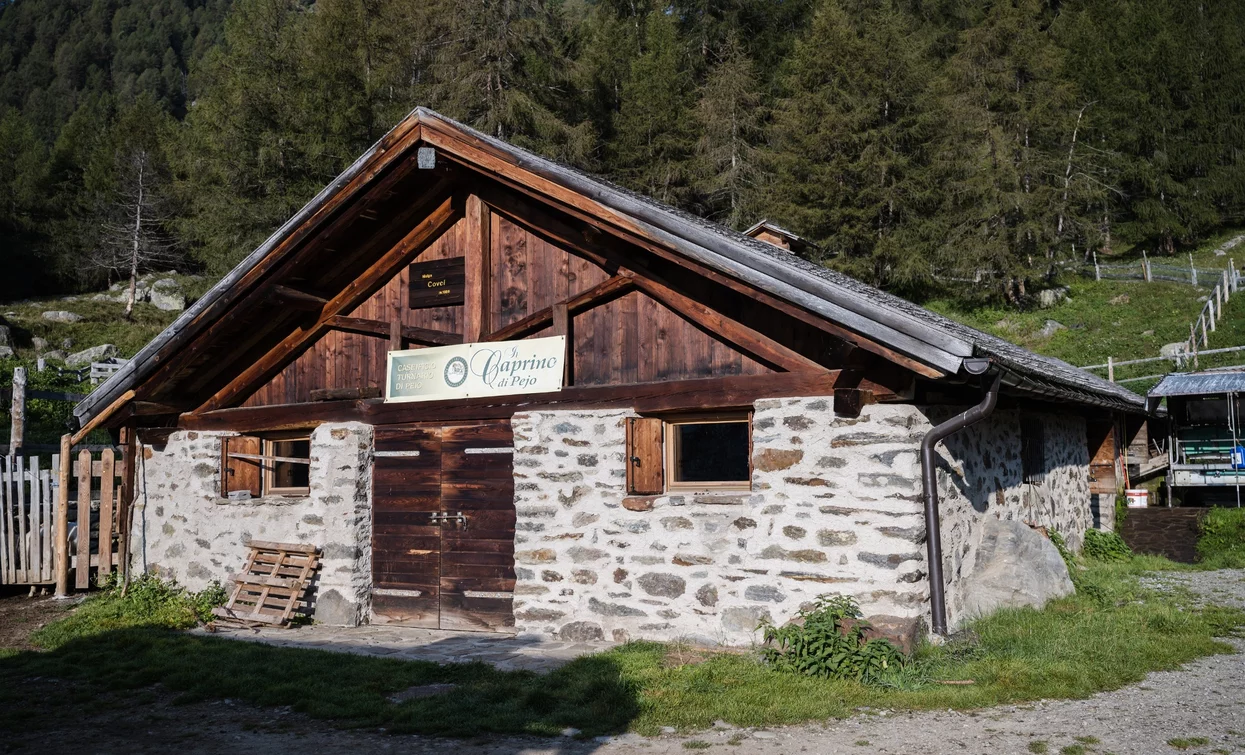 Malga Covel | © Giacomo Podetti, APT Valli di Sole, Peio e Rabbi