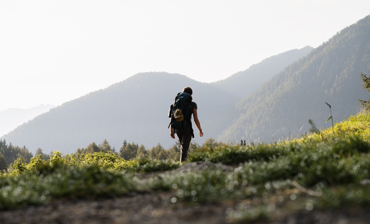 Towards Malga Covel | © Giacomo Podetti, APT Valli di Sole, Peio e Rabbi
