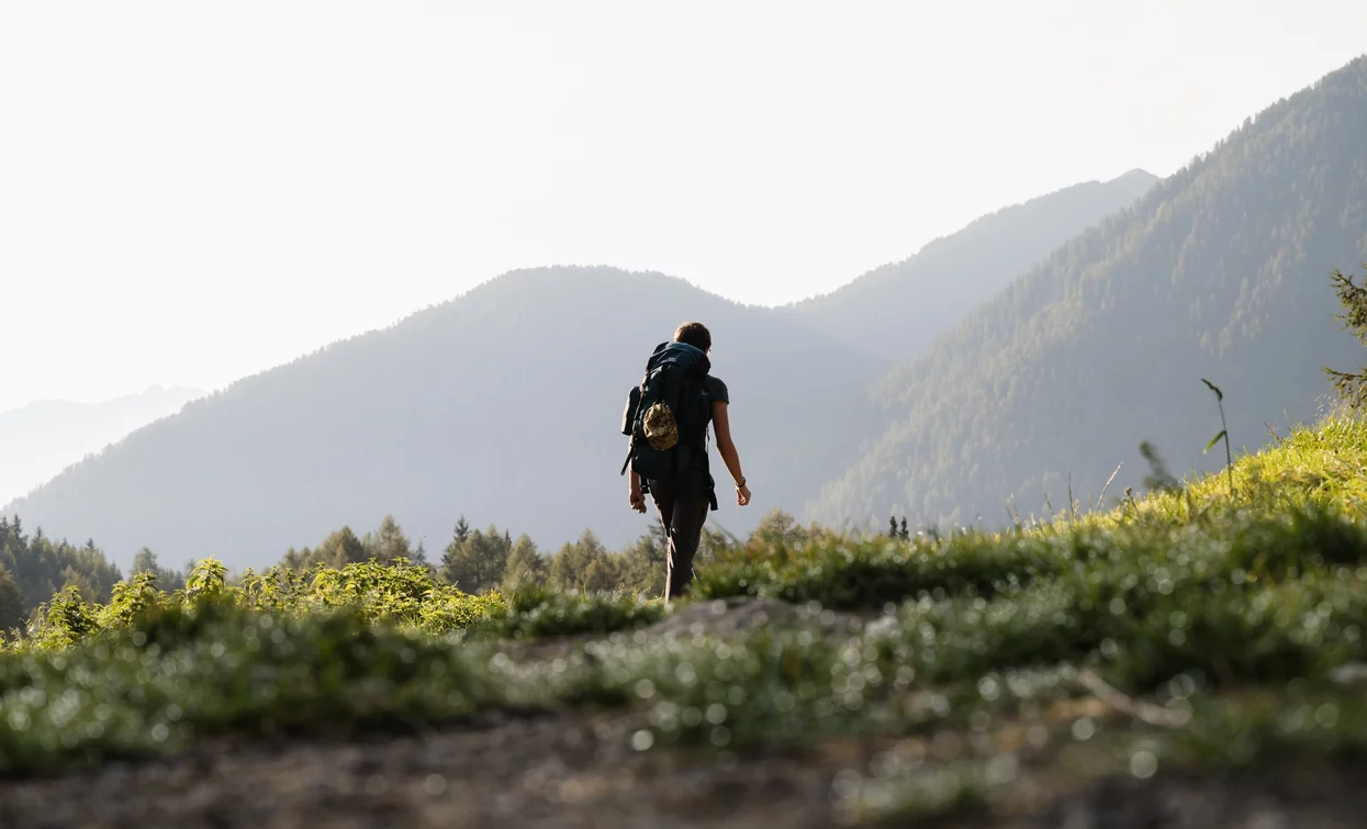 Verso Malga Covel | © Giacomo Podetti, APT Valli di Sole, Peio e Rabbi