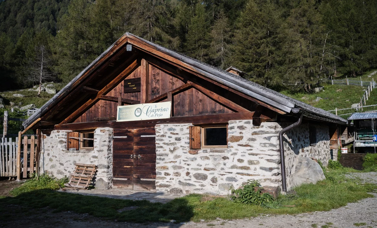 Malga Covel | © Giacomo Podetti, APT Valli di Sole, Peio e Rabbi