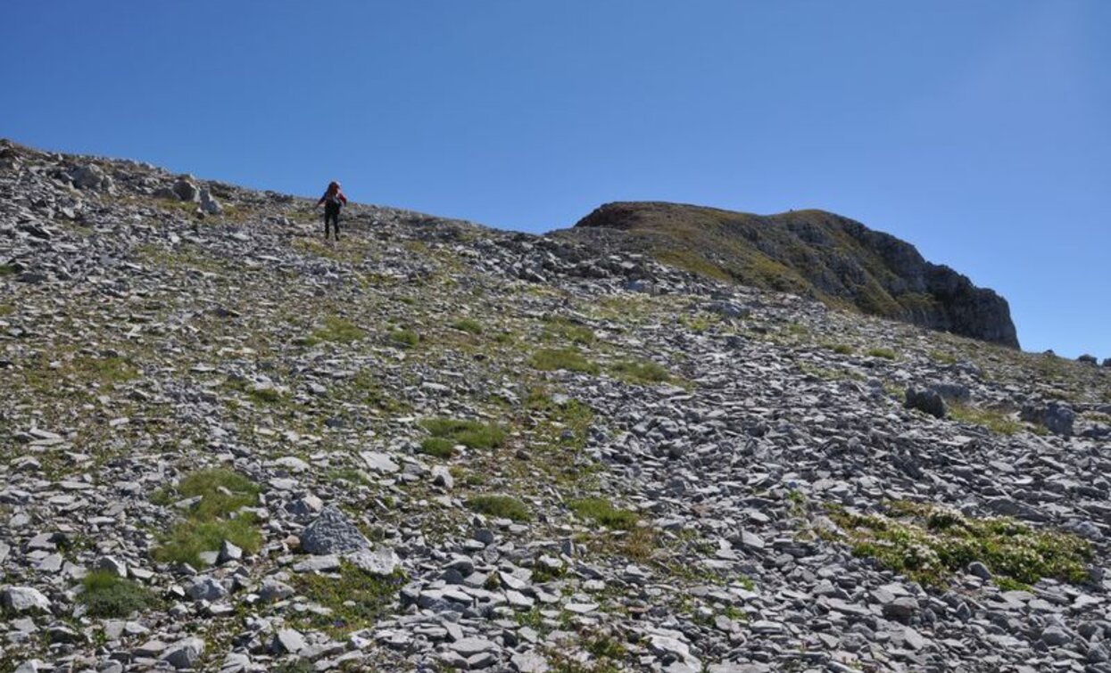 Valle del Vento – Cima Benon | © VisitTrentino, APT Valli di Sole, Peio e Rabbi