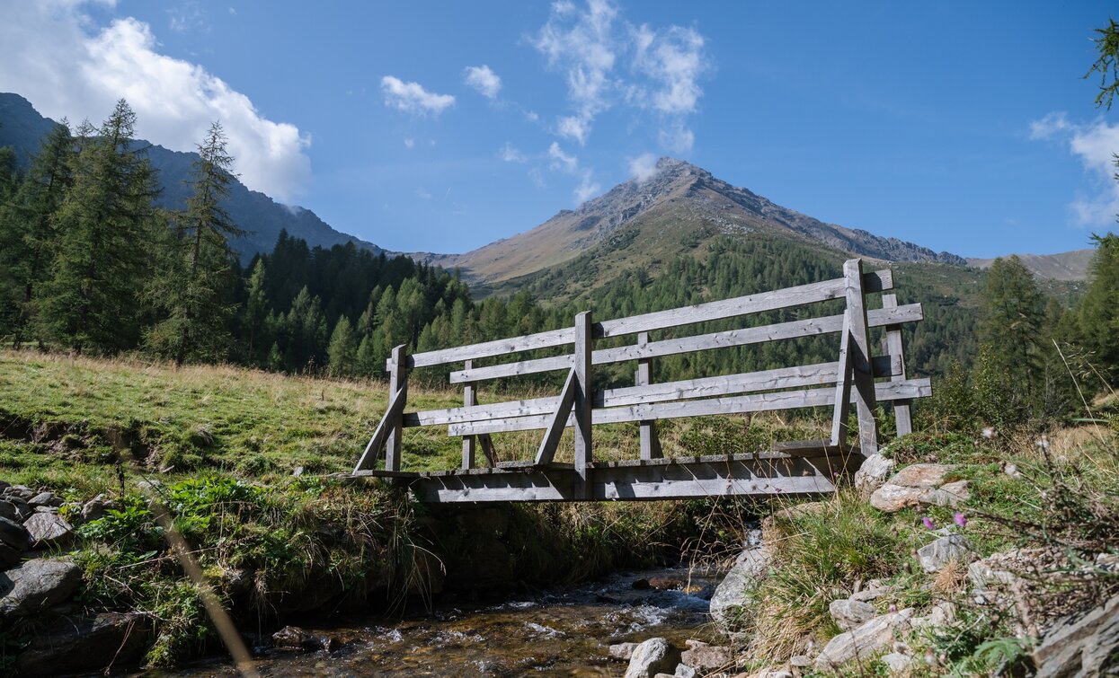 Stream along the route towards Malga Cercen | © Giacomo Podetti, APT Valli di Sole, Peio e Rabbi