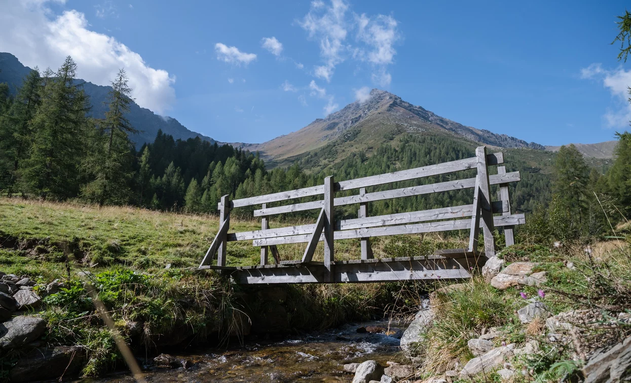 Stream along the route towards Malga Cercen | © Giacomo Podetti, APT Valli di Sole, Peio e Rabbi