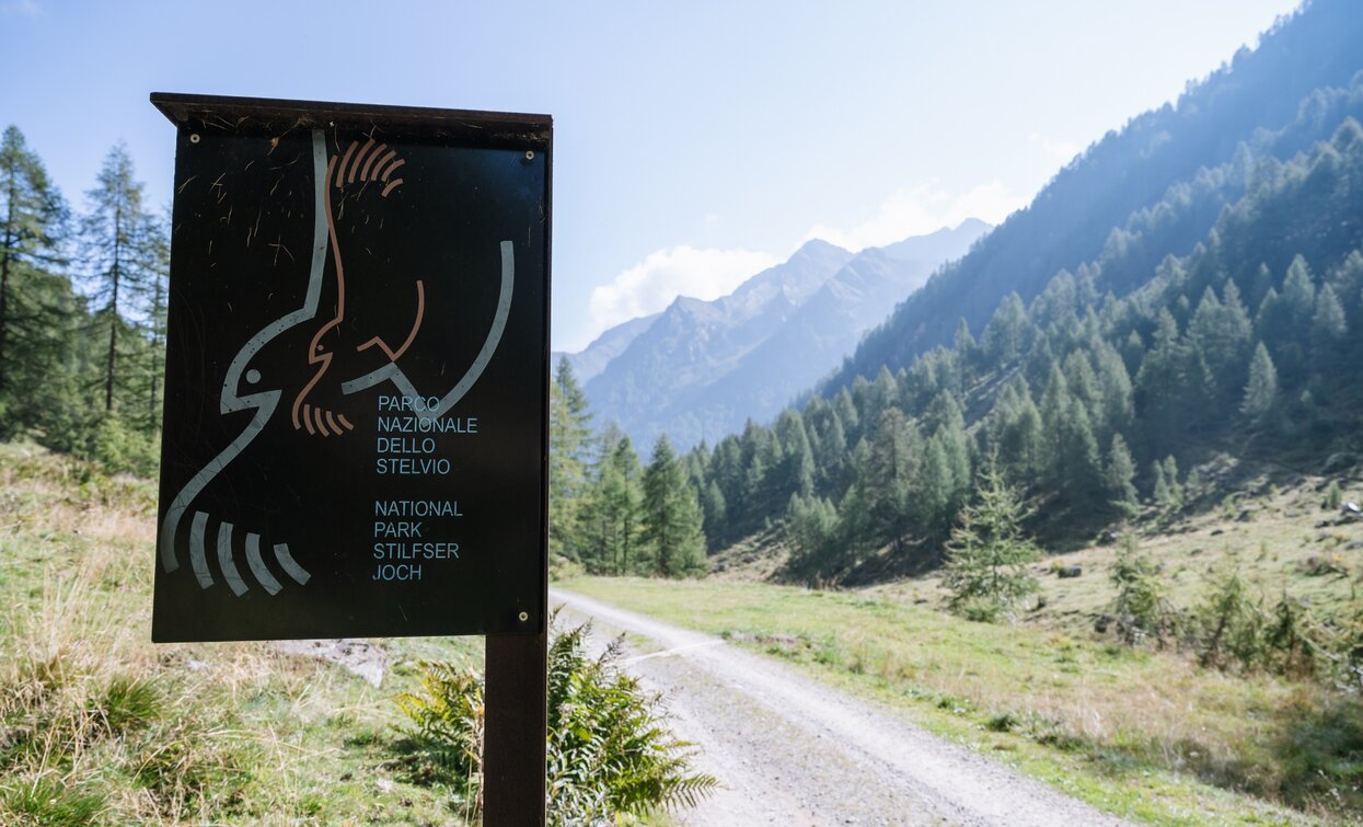 Route in the Stelvio National Park | © Giacomo Podetti, APT Valli di Sole, Peio e Rabbi