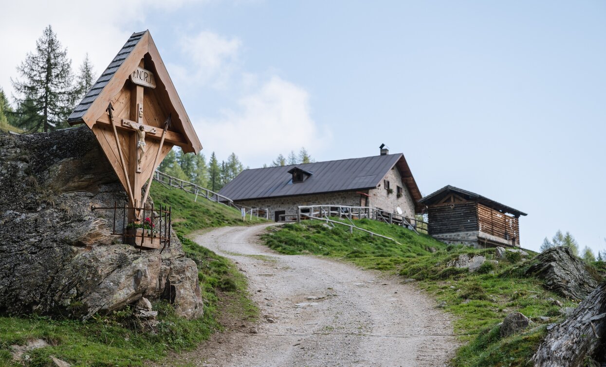 Malga Cercen Bassa in Val di Rabbi | © Giacomo Podetti, APT Valli di Sole, Peio e Rabbi